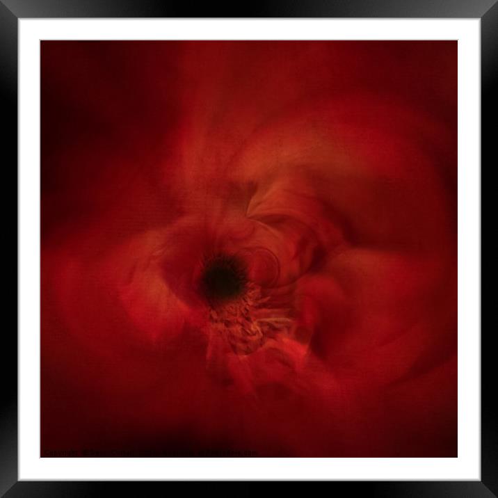Remembrance Poppy Art Framed Mounted Print by Beryl Curran