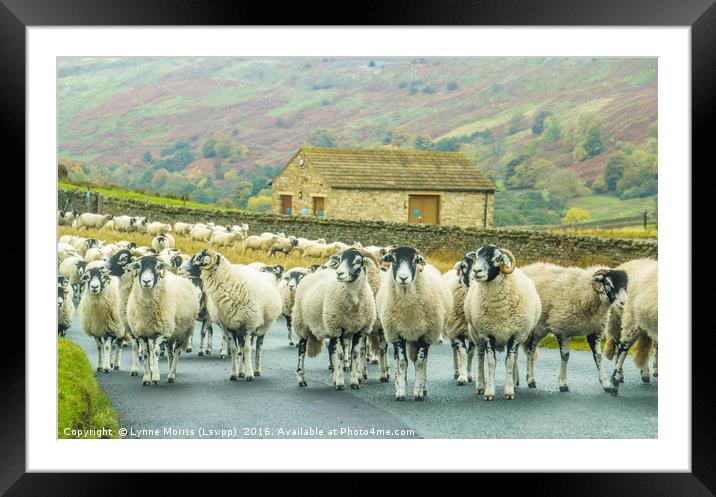 Yorkshire Road Block Framed Mounted Print by Lynne Morris (Lswpp)