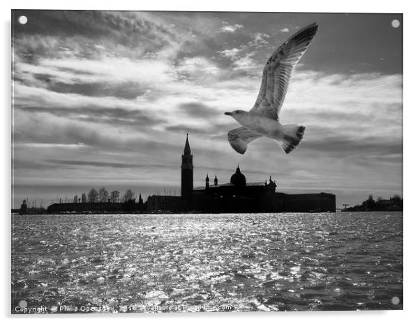 Flypast Venice Acrylic by Philip Openshaw