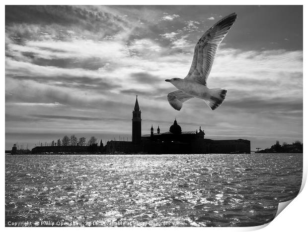 Flypast Venice Print by Philip Openshaw