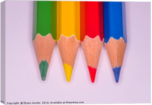 Coloured pencils  Canvas Print by Shaun Jacobs
