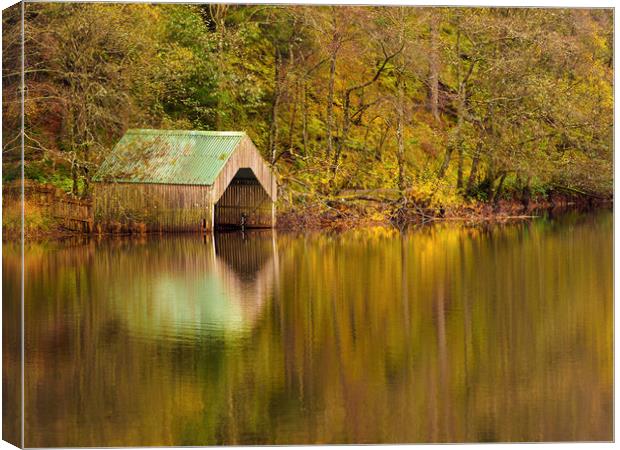 Vibrant Tranquility Canvas Print by Tommy Dickson