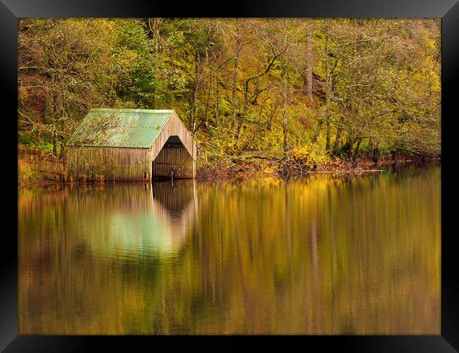 Vibrant Tranquility Framed Print by Tommy Dickson