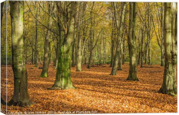 Autumn Beech Woods Forest Farm Cardiff Canvas Print by Nick Jenkins