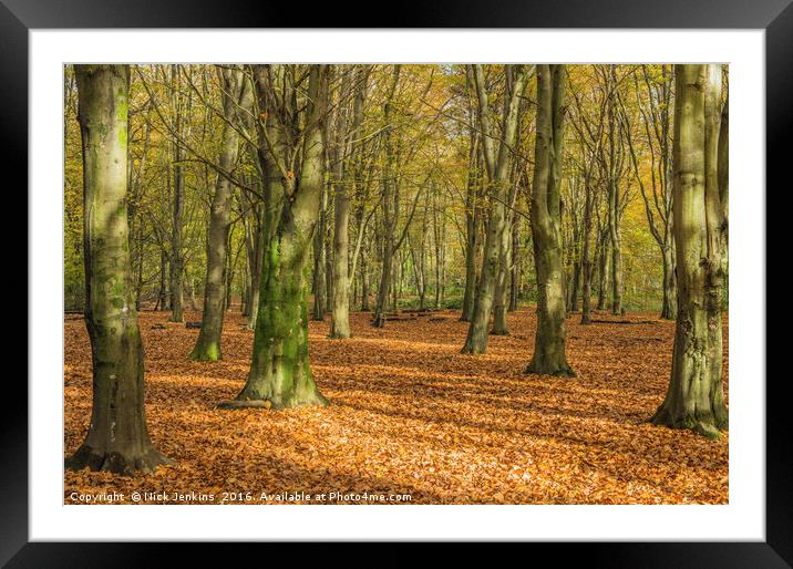 Autumn Beech Woods Forest Farm Cardiff Framed Mounted Print by Nick Jenkins