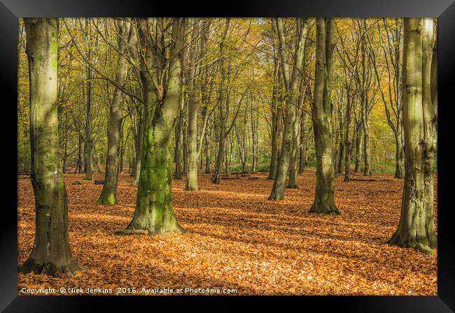 Autumn Beech Woods Forest Farm Cardiff Framed Print by Nick Jenkins