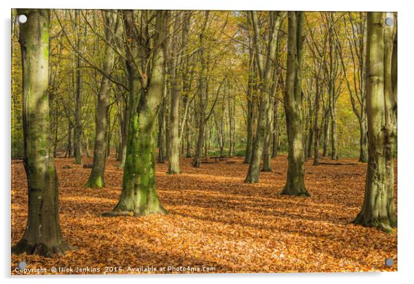 Autumn Beech Woods Forest Farm Cardiff Acrylic by Nick Jenkins