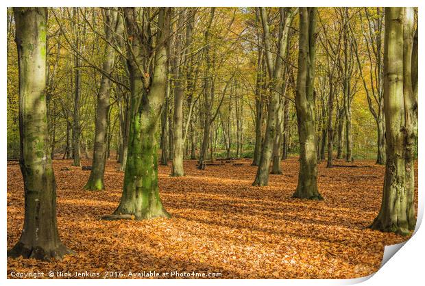 Autumn Beech Woods Forest Farm Cardiff Print by Nick Jenkins