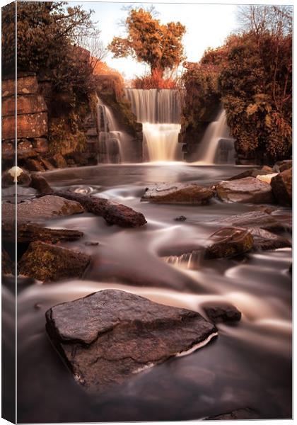 Penllergare waterfalls Canvas Print by Leighton Collins