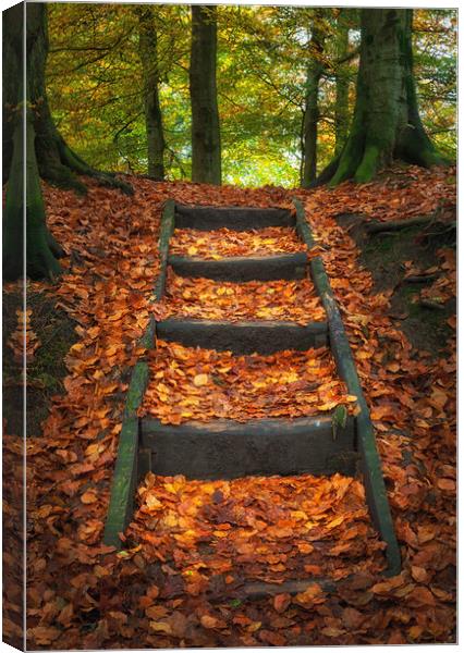 Penllergare woods in Autumn Canvas Print by Leighton Collins