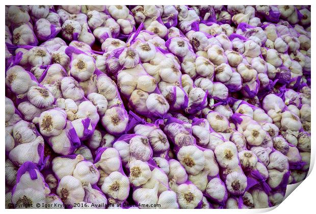 Garlic for sale Print by Igor Krylov