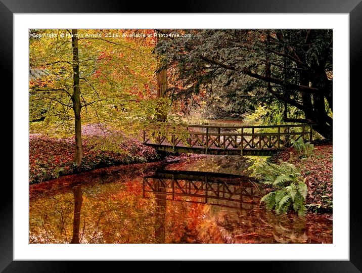 Autumn Reflections in the Stream Framed Mounted Print by Martyn Arnold