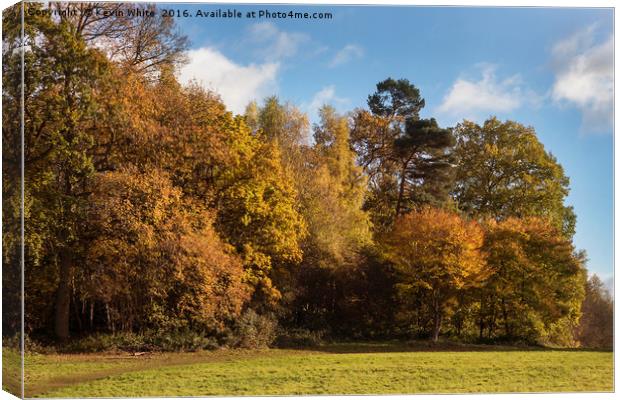 Autumn colours Canvas Print by Kevin White