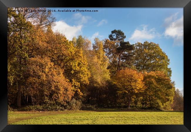 Autumn colours Framed Print by Kevin White