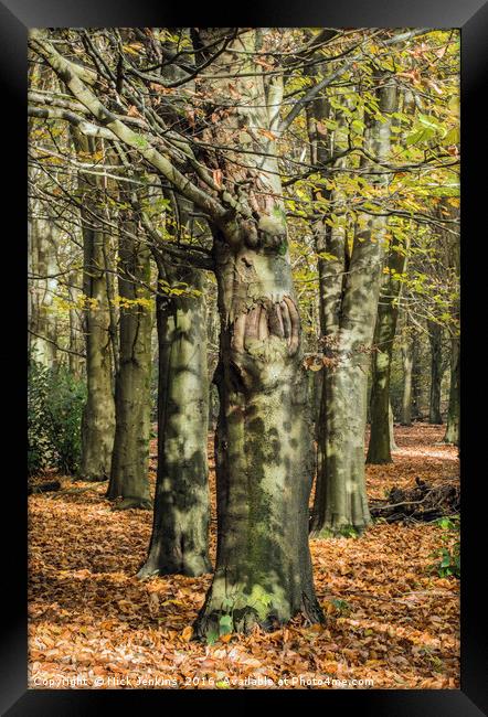 The Autumn Beech Trees at Wentwood Forest Monmouth Framed Print by Nick Jenkins