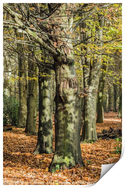 The Autumn Beech Trees at Wentwood Forest Monmouth Print by Nick Jenkins