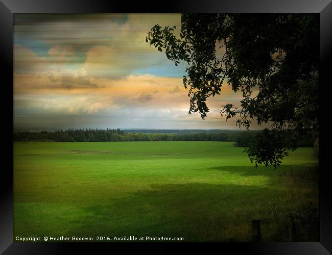 Long Field. Framed Print by Heather Goodwin