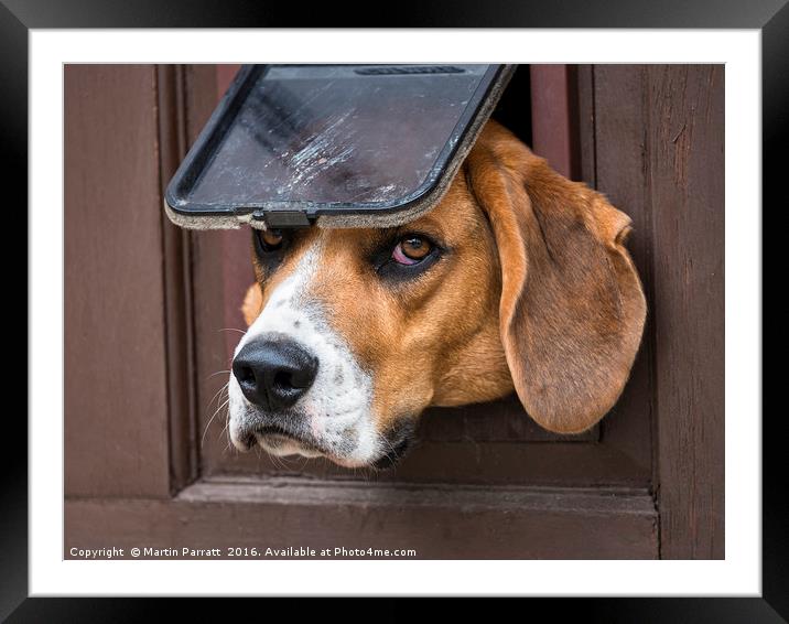 I want a Dog Door Framed Mounted Print by Martin Parratt