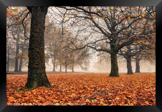 Autumn leaves Framed Print by Martin Parratt