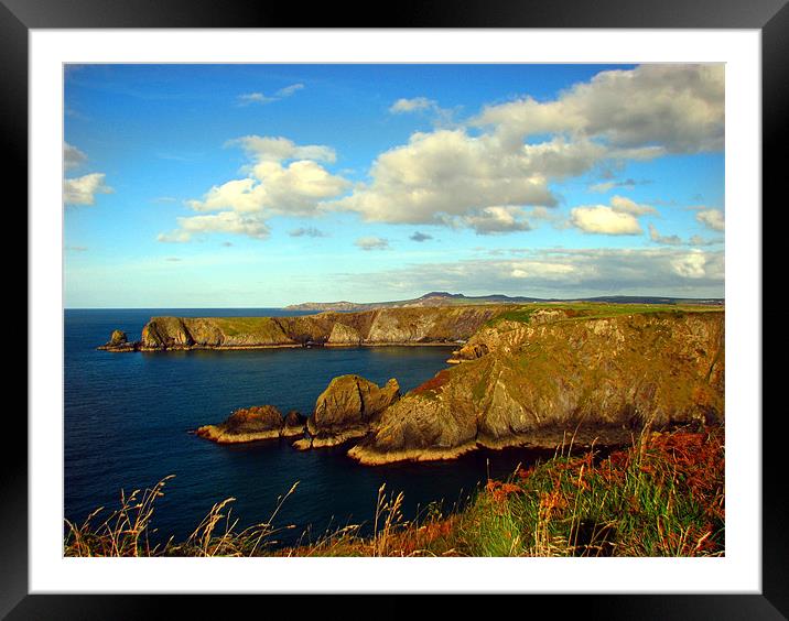 Pembrokeshire Coastal Path Framed Mounted Print by paulette hurley