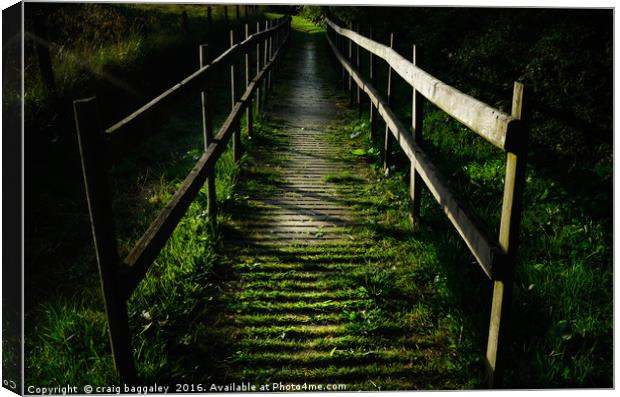 mysterious bridge in the woods Canvas Print by craig baggaley