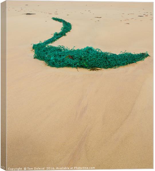 Net on the sand Canvas Print by Tom Dolezal
