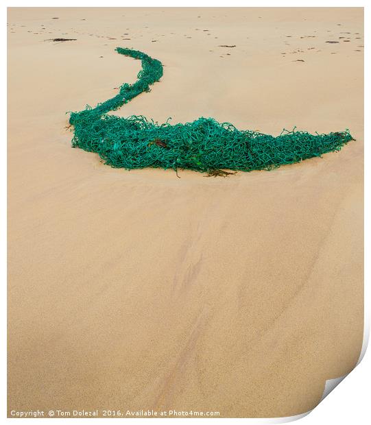 Net on the sand Print by Tom Dolezal