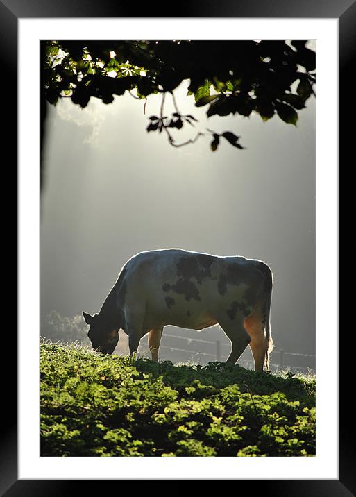In a Misty Dawn 3 Framed Mounted Print by graham young