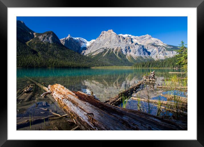 Logs on the lake Framed Mounted Print by Kevin Livingstone