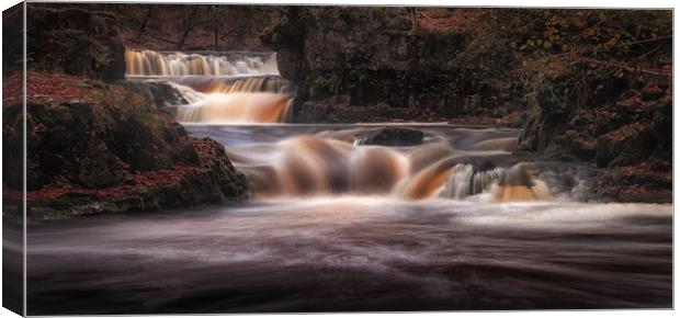 River Neath Canvas Print by Leighton Collins