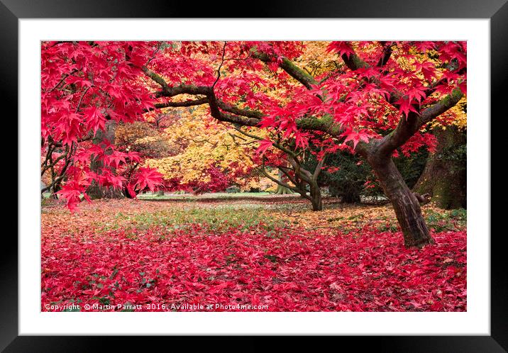 Autumn Colour Framed Mounted Print by Martin Parratt