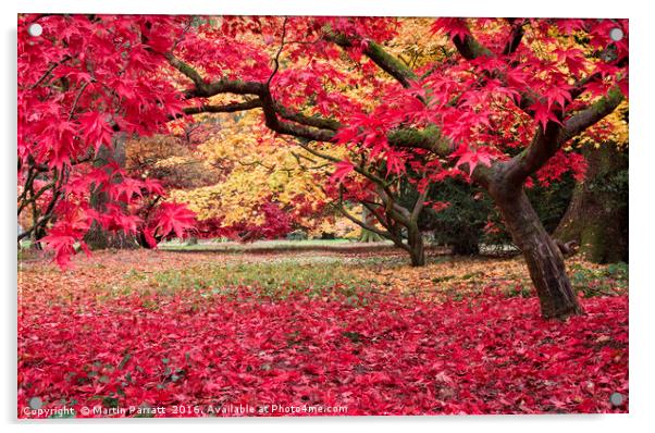 Autumn Colour Acrylic by Martin Parratt