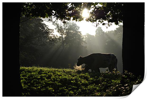 In a Misty Dawn 2 Print by graham young