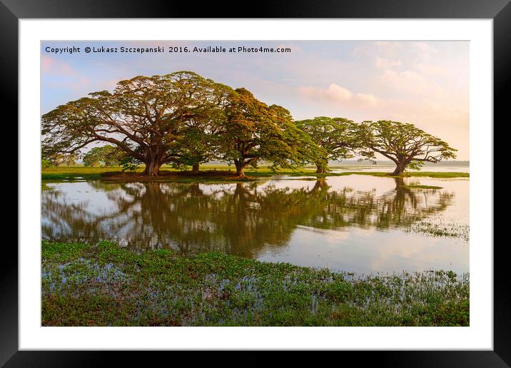 Shady tropical trees by the lake, Sri Lanka Framed Mounted Print by Łukasz Szczepański