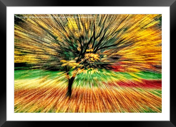 Autumn Colours Abstract Framed Mounted Print by Martyn Arnold