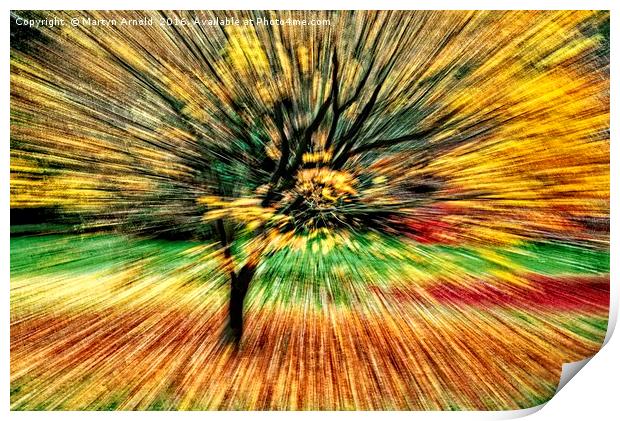 Autumn Colours Abstract Print by Martyn Arnold
