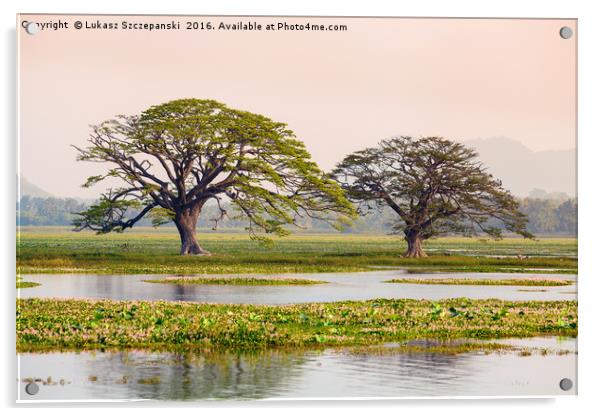 Two shady tropical trees by the lake, Sri Lanka Acrylic by Łukasz Szczepański