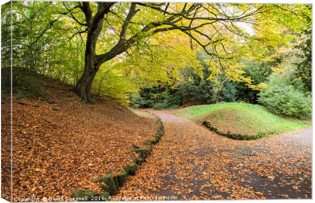 Autumn Path  Canvas Print by David Chennell
