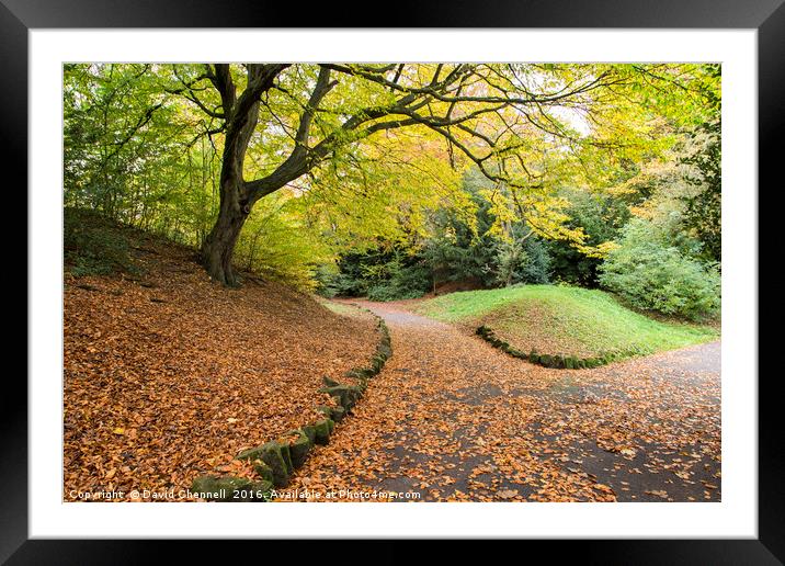 Autumn Path  Framed Mounted Print by David Chennell