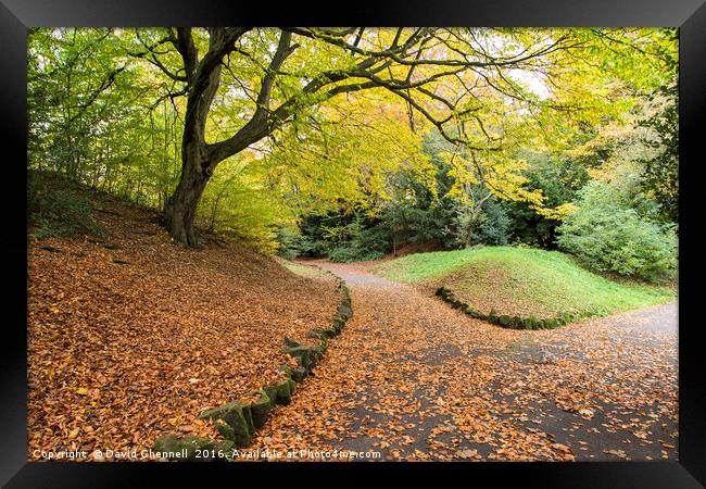 Autumn Path  Framed Print by David Chennell