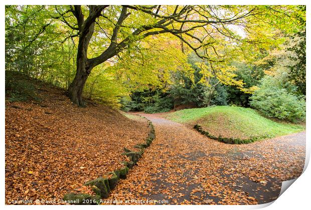 Autumn Path  Print by David Chennell