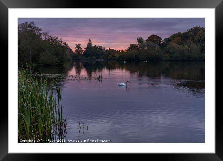 Bolam Lake, Northumberland.  Framed Mounted Print by Phil Reay