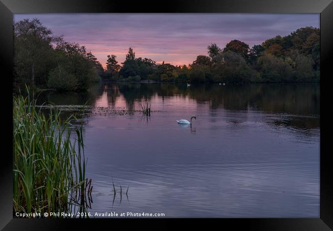 Bolam Lake, Northumberland.  Framed Print by Phil Reay