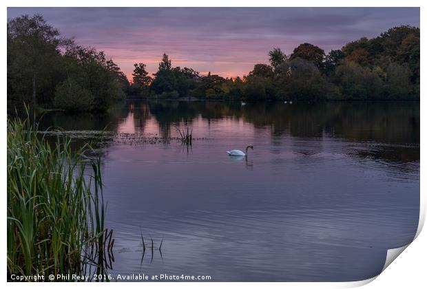 Bolam Lake, Northumberland.  Print by Phil Reay