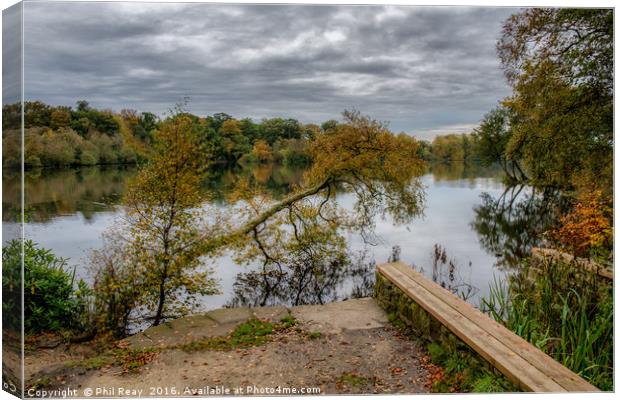 Autumn at Bolam lake Canvas Print by Phil Reay