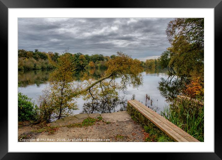 Autumn at Bolam lake Framed Mounted Print by Phil Reay