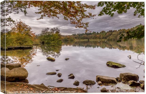 Autumn at Bolam lake Canvas Print by Phil Reay