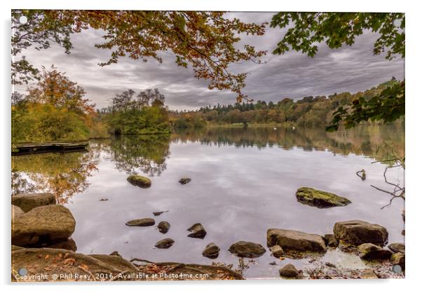 Autumn at Bolam lake Acrylic by Phil Reay