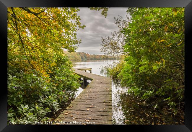 Autumn at Bolam lake jetty Framed Print by Phil Reay