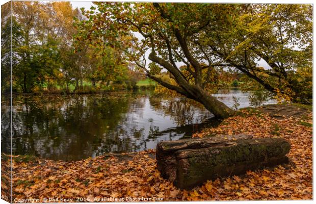 Autumn at Pittville Canvas Print by Phil Reay